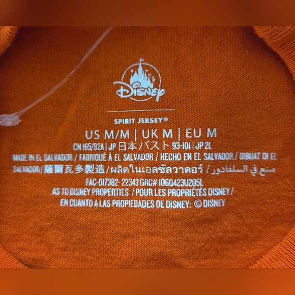 DISNEYLAND RESORT HALLOWEEN PUMPKINS SPIRIT JERSEY. - Picture 4 of 4